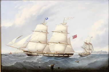 La Brigantina Collier 